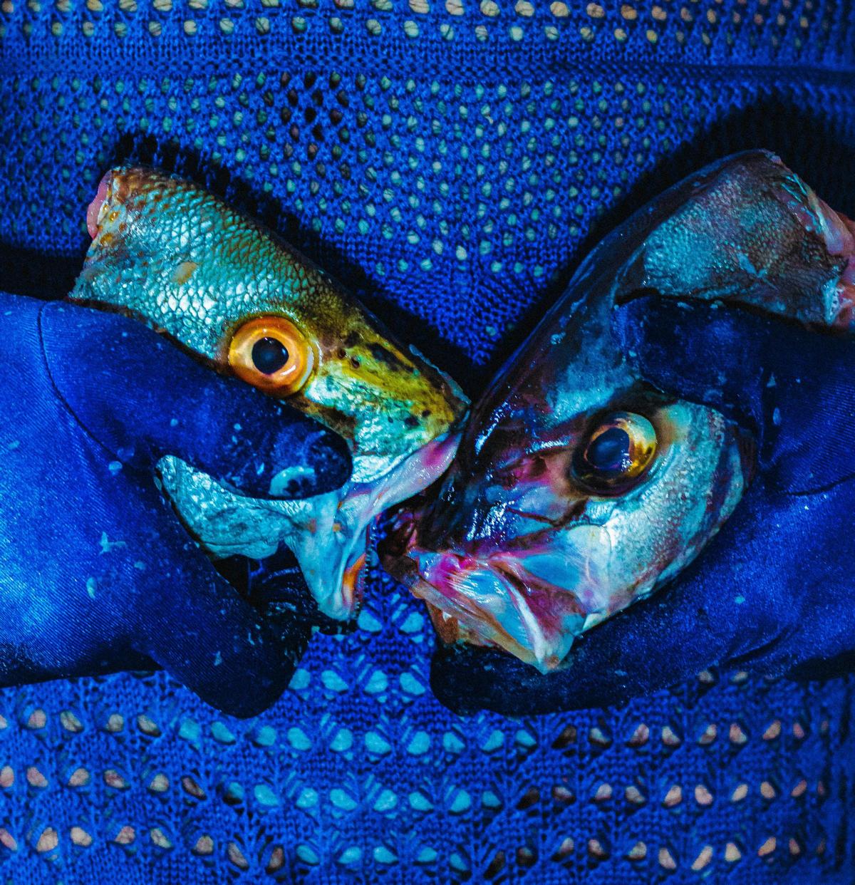 Fische, Haken, blauer Hintergrund (stilisiert)