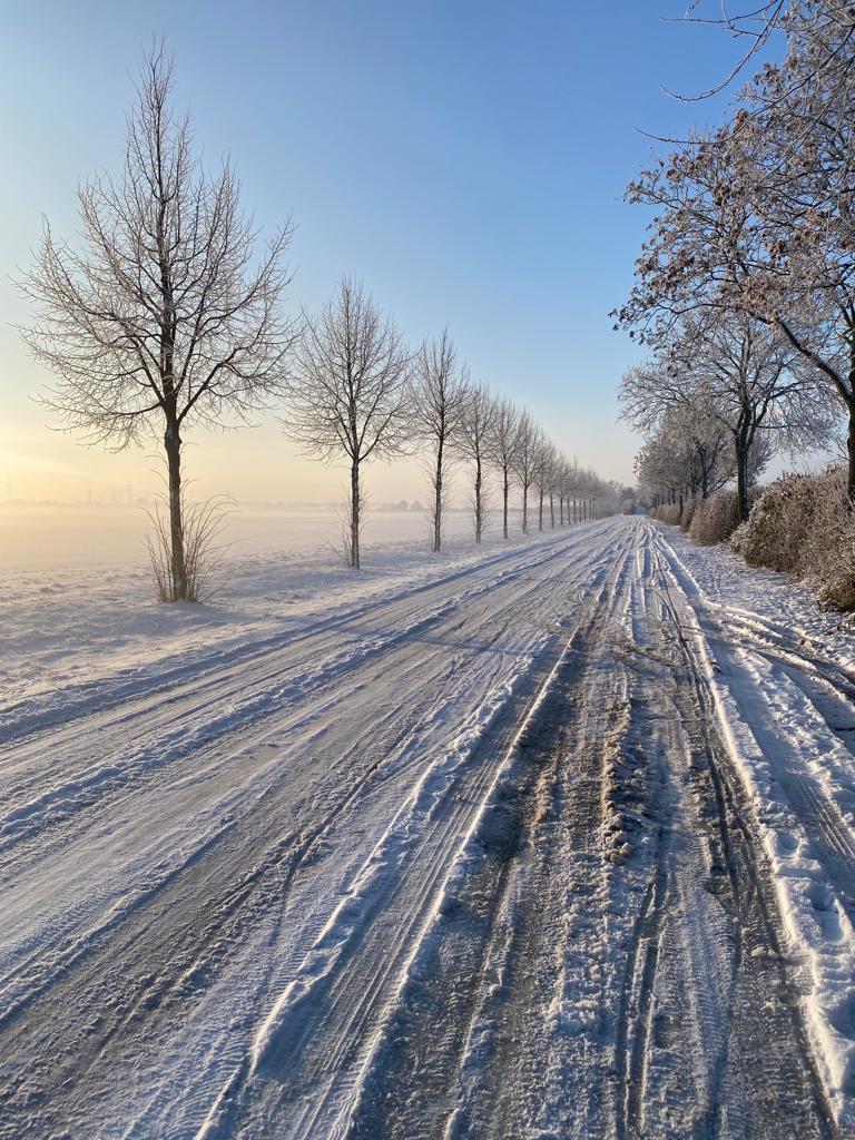 Impressionen: Winter in Mannheim